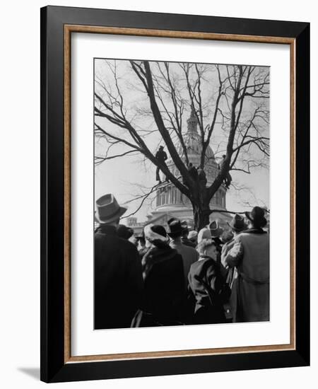 Large Crowd of Spectators Enjoying the Celebrations, During the Inauguration of Harry S. Truman-George Skadding-Framed Photographic Print