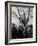 Large Crowd of Spectators Enjoying the Celebrations, During the Inauguration of Harry S. Truman-George Skadding-Framed Photographic Print