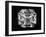 Large Diamond Owned by Jewel Harry Winston-Bernard Hoffman-Framed Photographic Print