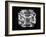 Large Diamond Owned by Jewel Harry Winston-Bernard Hoffman-Framed Photographic Print