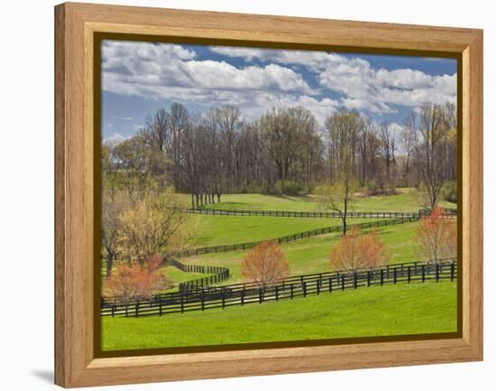 Large Field and Fence Line in Louisville, Kentucky, Usa-Adam Jones-Framed Premier Image Canvas