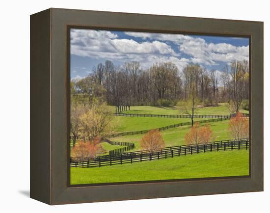 Large Field and Fence Line in Louisville, Kentucky, Usa-Adam Jones-Framed Premier Image Canvas