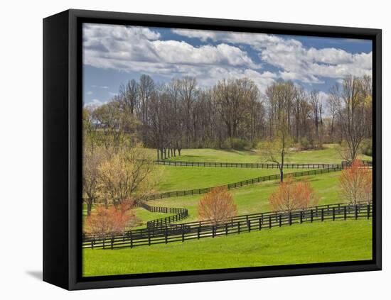 Large Field and Fence Line in Louisville, Kentucky, Usa-Adam Jones-Framed Premier Image Canvas