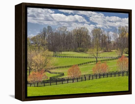 Large Field and Fence Line in Louisville, Kentucky, Usa-Adam Jones-Framed Premier Image Canvas