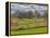 Large Field and Fence Line in Louisville, Kentucky, Usa-Adam Jones-Framed Premier Image Canvas