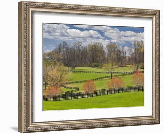 Large Field and Fence Line in Louisville, Kentucky, Usa-Adam Jones-Framed Photographic Print