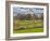 Large Field and Fence Line in Louisville, Kentucky, Usa-Adam Jones-Framed Photographic Print