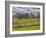 Large Field and Fence Line in Louisville, Kentucky, Usa-Adam Jones-Framed Photographic Print