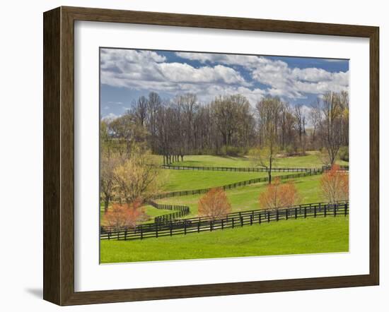 Large Field and Fence Line in Louisville, Kentucky, Usa-Adam Jones-Framed Photographic Print