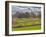 Large Field and Fence Line in Louisville, Kentucky, Usa-Adam Jones-Framed Photographic Print