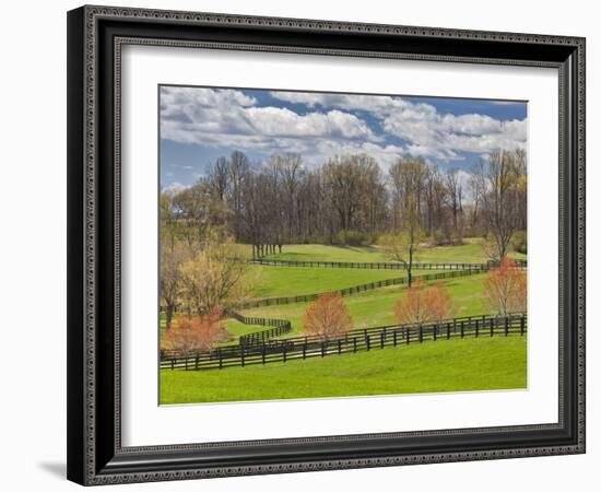 Large Field and Fence Line in Louisville, Kentucky, Usa-Adam Jones-Framed Photographic Print