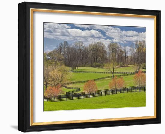 Large Field and Fence Line in Louisville, Kentucky, Usa-Adam Jones-Framed Photographic Print