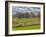 Large Field and Fence Line in Louisville, Kentucky, Usa-Adam Jones-Framed Photographic Print