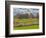 Large Field and Fence Line in Louisville, Kentucky, Usa-Adam Jones-Framed Photographic Print