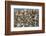 Large Flock of Shore Birds Takes Off-Hal Beral-Framed Photographic Print