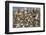 Large Flock of Shore Birds Takes Off-Hal Beral-Framed Photographic Print