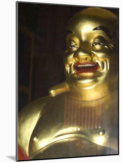 Large Golden Smiling Buddha in Kek Lok Si Buddhist Temple, Air Itam, Georgetown, Penang-Annie Owen-Mounted Photographic Print