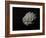 Large Grey Meteorite in the Universe Full of Stars-null-Framed Art Print