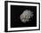 Large Grey Meteorite in the Universe Full of Stars-null-Framed Art Print