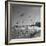 Large Group of Sea Gulls Flying Around and on the Beach-Eliot Elisofon-Framed Photographic Print