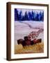 Large Herd of Bison Cross a Vast Plain-Rich LaPenna-Framed Photographic Print