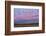 Large herd of Snow geese Soccoro, New Mexico, USA-Panoramic Images-Framed Photographic Print