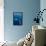 Large humpback whale ascends through the clear blue of the Silver Bank, Dominican Republic-James White-Framed Premier Image Canvas displayed on a wall