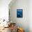 Large humpback whale ascends through the clear blue of the Silver Bank, Dominican Republic-James White-Framed Premier Image Canvas displayed on a wall