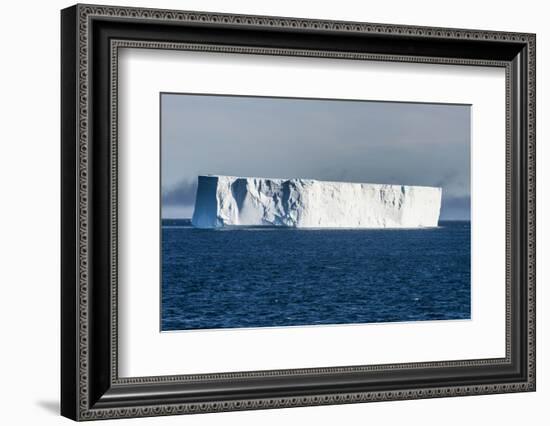 Large iceberg floating in the Weddell Sea, Antarctica, Polar Regions-Michael Runkel-Framed Photographic Print