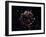 Large Magellanic Cloud-Stocktrek Images-Framed Photographic Print