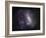 Large Magellanic Cloud-Stocktrek Images-Framed Photographic Print