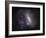 Large Magellanic Cloud-Stocktrek Images-Framed Photographic Print