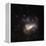 Large Magellanic Cloud-Eckhard Slawik-Framed Premier Image Canvas