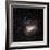 Large Magellanic Cloud-Eckhard Slawik-Framed Premium Photographic Print