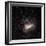 Large Magellanic Cloud-Eckhard Slawik-Framed Premium Photographic Print