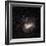 Large Magellanic Cloud-Eckhard Slawik-Framed Premium Photographic Print