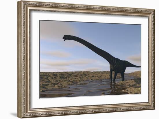 Large Mamenchisaurus Walking Along a Dry Riverbed-Stocktrek Images-Framed Art Print