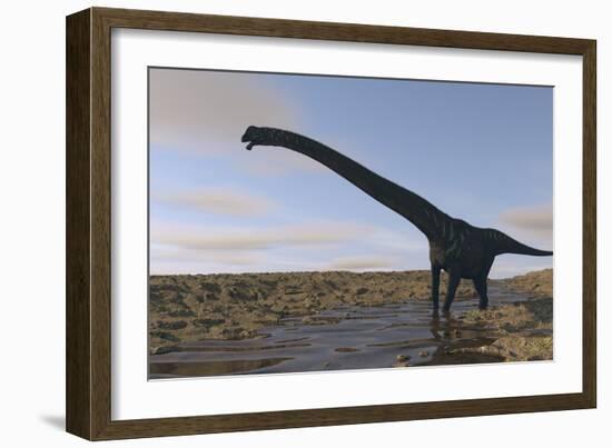 Large Mamenchisaurus Walking Along a Dry Riverbed-Stocktrek Images-Framed Art Print