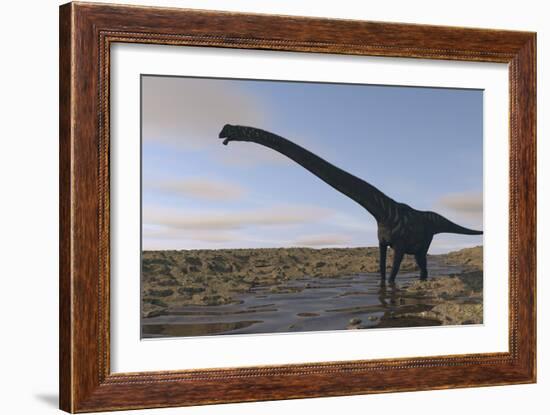 Large Mamenchisaurus Walking Along a Dry Riverbed-Stocktrek Images-Framed Art Print