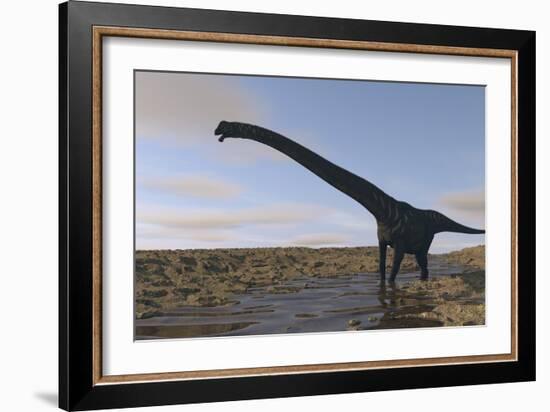 Large Mamenchisaurus Walking Along a Dry Riverbed-Stocktrek Images-Framed Art Print