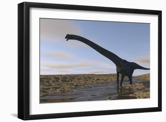 Large Mamenchisaurus Walking Along a Dry Riverbed-Stocktrek Images-Framed Art Print