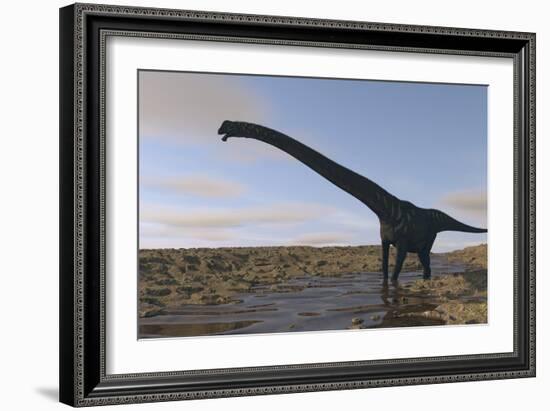 Large Mamenchisaurus Walking Along a Dry Riverbed-Stocktrek Images-Framed Art Print