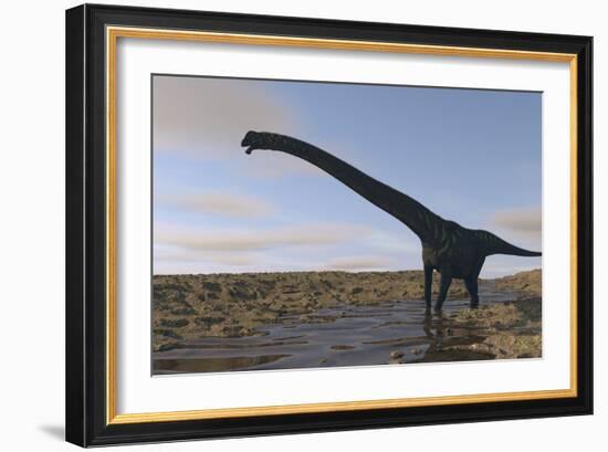 Large Mamenchisaurus Walking Along a Dry Riverbed-Stocktrek Images-Framed Art Print