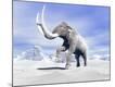 Premium Giclee Print