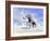 Large Mammoth Walking Slowly on the Snowy Mountain Against the Wind-null-Framed Art Print
