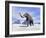 Large Mammoth Walking Slowly on the Snowy Mountain-null-Framed Art Print