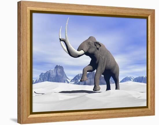 Large Mammoth Walking Slowly on the Snowy Mountain-null-Framed Stretched Canvas