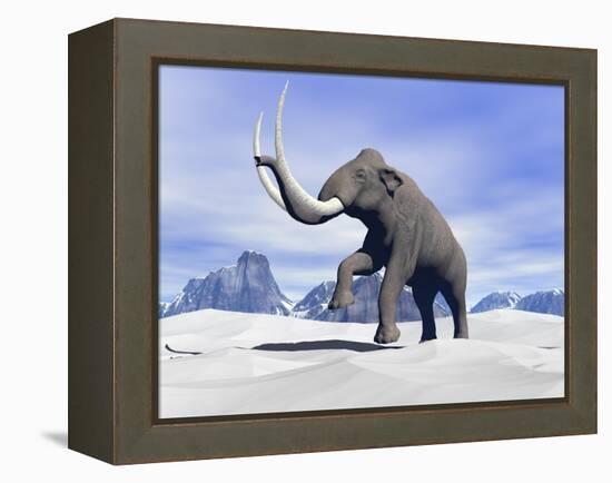 Large Mammoth Walking Slowly on the Snowy Mountain-null-Framed Stretched Canvas