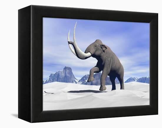 Large Mammoth Walking Slowly on the Snowy Mountain-null-Framed Stretched Canvas