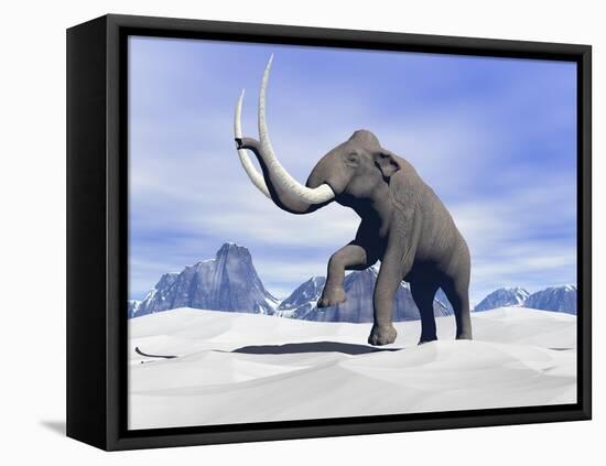 Large Mammoth Walking Slowly on the Snowy Mountain-null-Framed Stretched Canvas